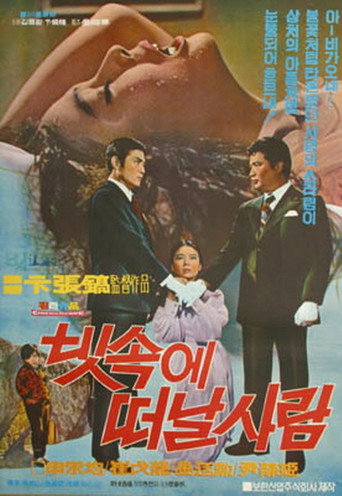 Póster de 빗속에 떠날 사람
