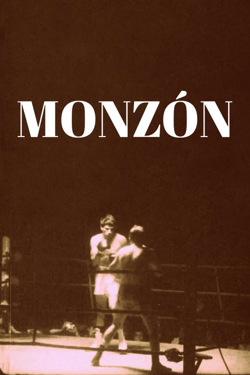 Póster de Monzón