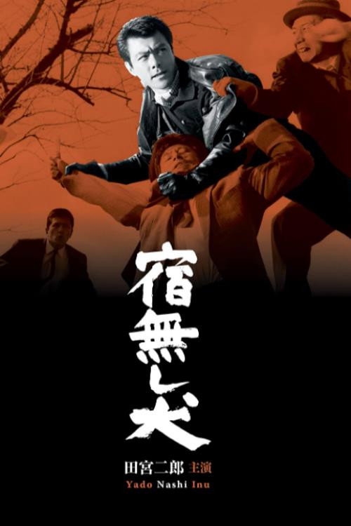 Póster de 宿無し犬