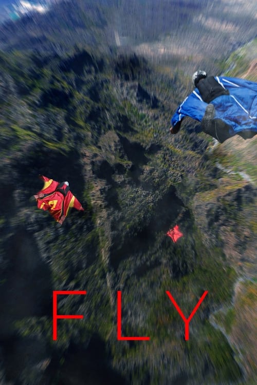 Póster de Fly