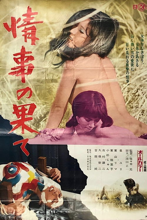 Póster de 情事の果て