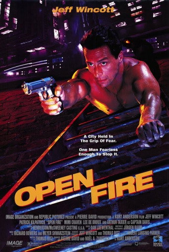 Póster de Open Fire