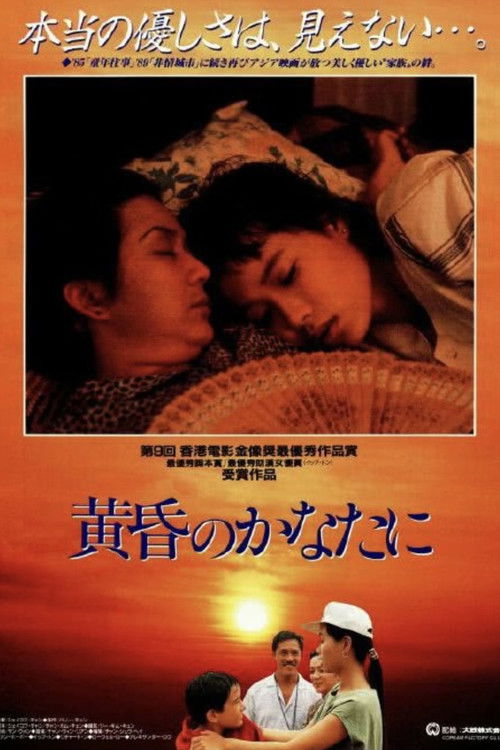 Póster de 飛越黃昏
