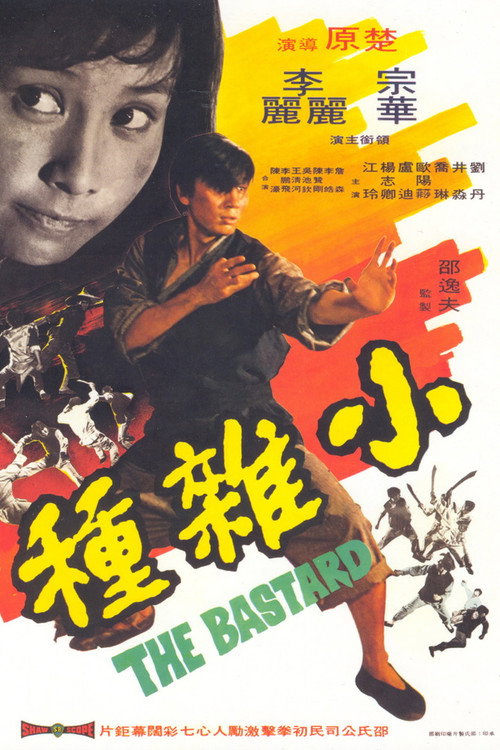 Póster de Xiao za zhong