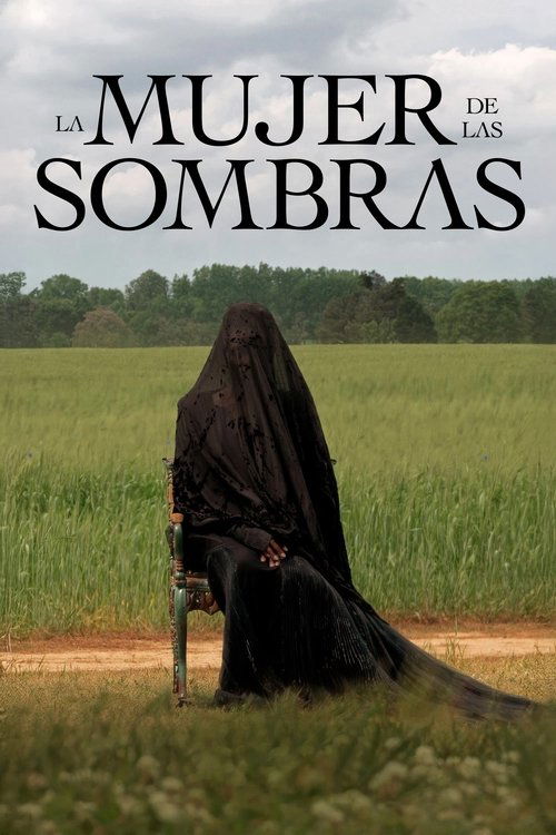 Póster de La mujer de las sombras