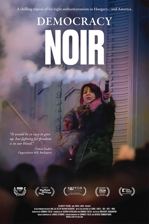 Póster de Democracy Noir