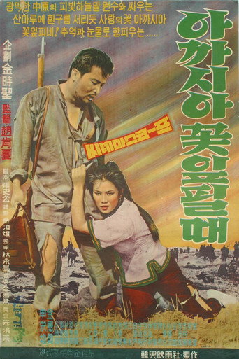 Póster de 아카시아 꽃잎필때
