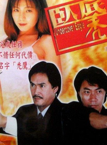 Póster de 臥底禿鷹