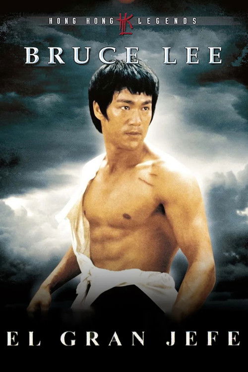 Póster de El gran jefe