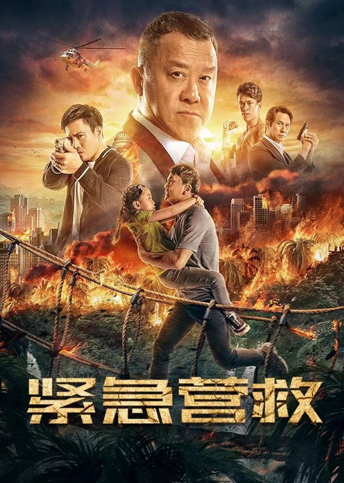 Póster de 紧急营救