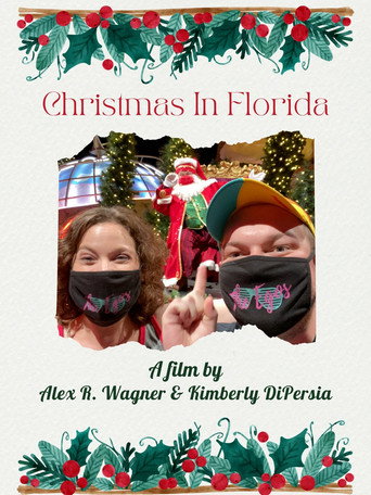 Póster de Christmas In Florida