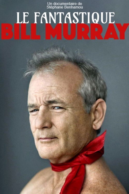 Póster de Le Fantastique Mr Murray