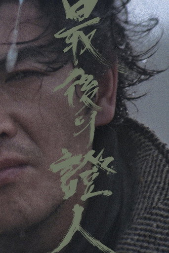 Póster de The Last Witness