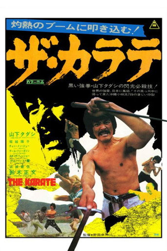 Póster de The Karate