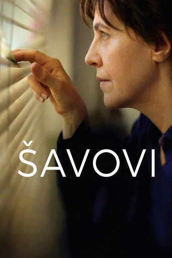 Póster de Šavovi