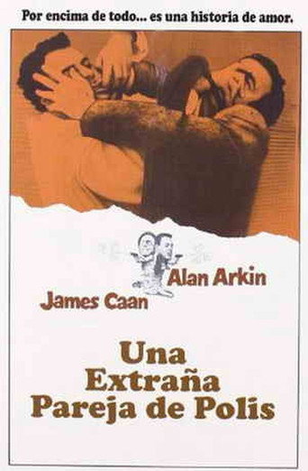 Póster de Freebie and the Bean