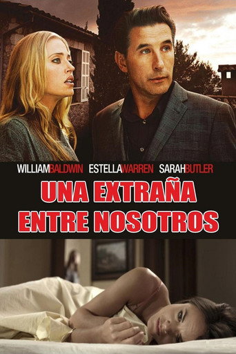 Póster de Un extraño en casa