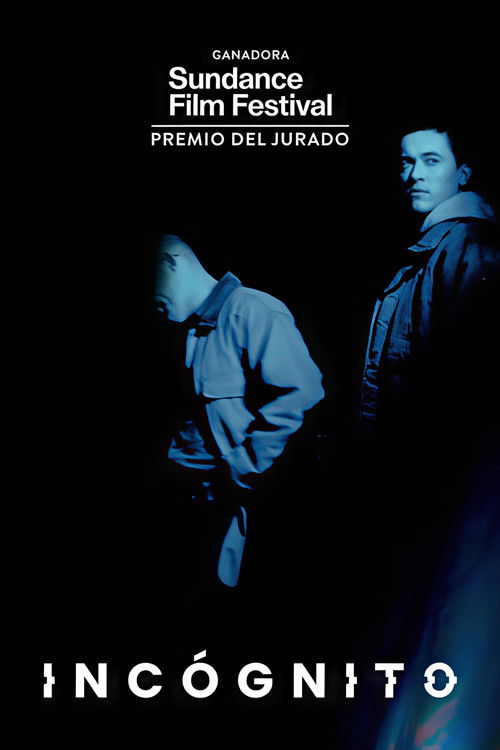 Póster de Plainclothes