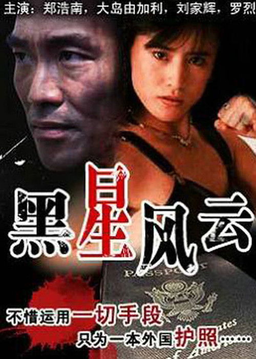 Póster de 黑星風雲