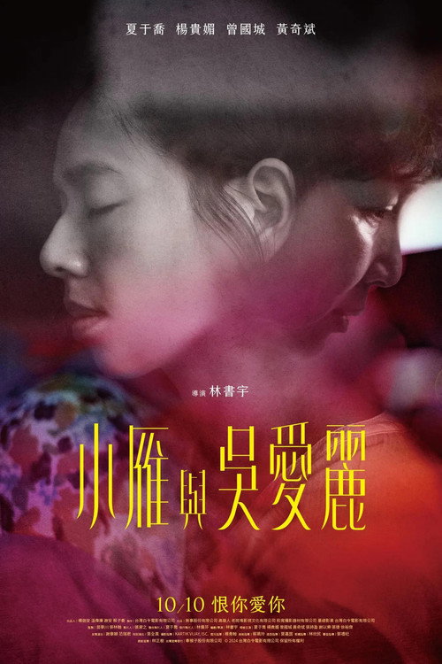 Póster de 小雁與吳愛麗