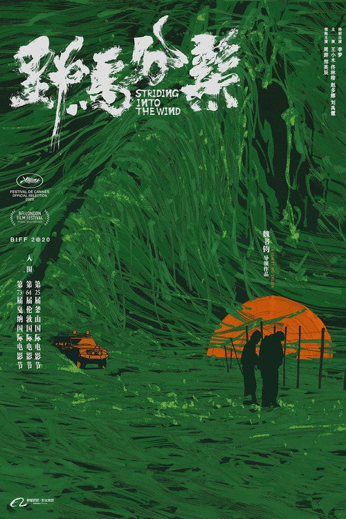 Póster de 野马分鬃