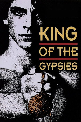 Póster de King of the Gypsies