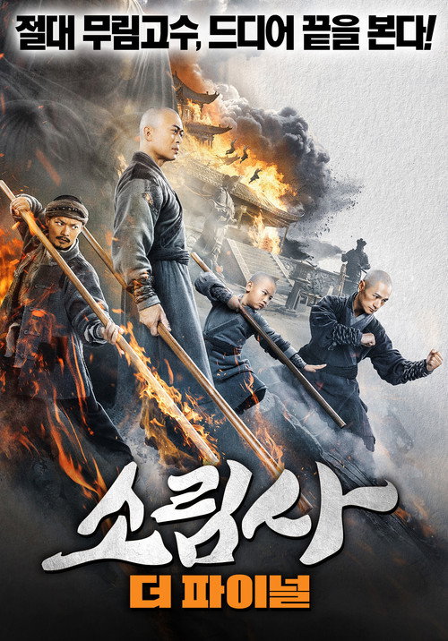 Póster de 南少林之怒目金刚