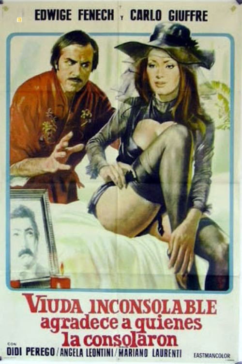 Póster de La vedova inconsolabile ringrazia quanti la consolarono