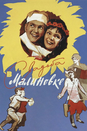 Póster de Свадьба в Малиновке