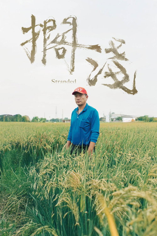 Póster de Stranded