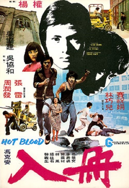 Póster de 入冊