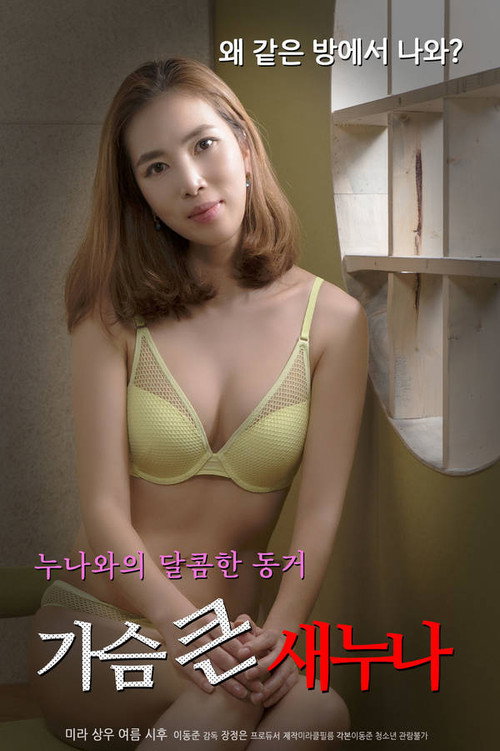 Póster de 가슴 큰 새 누나