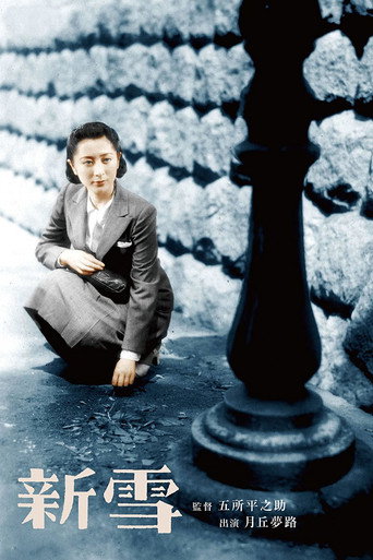 Póster de 新雪