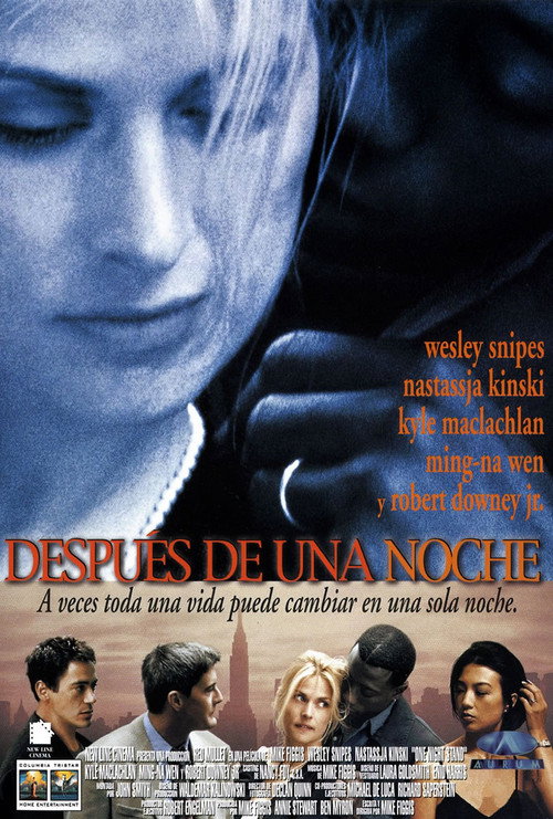 Póster de One Night Stand