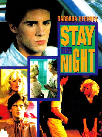 Póster de Stay the Night