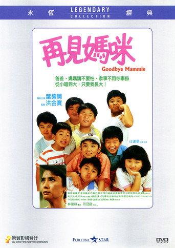Póster de 再見媽咪