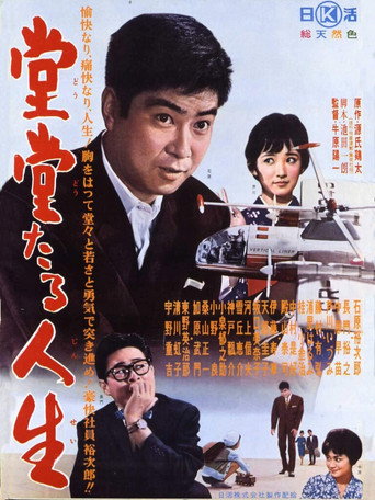 Póster de 堂堂たる人生