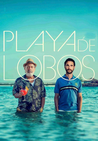 Póster de Playa de lobos