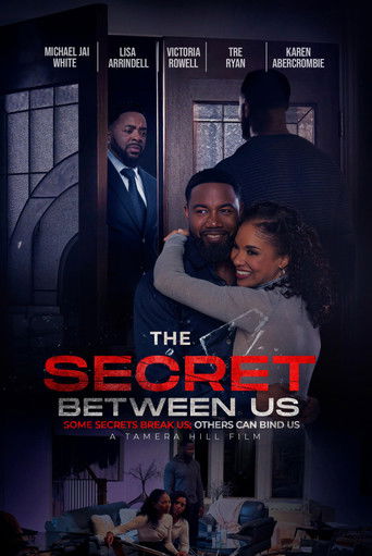 Póster de The Secret Between Us