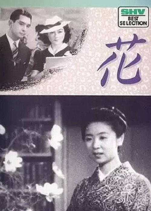 Póster de 花