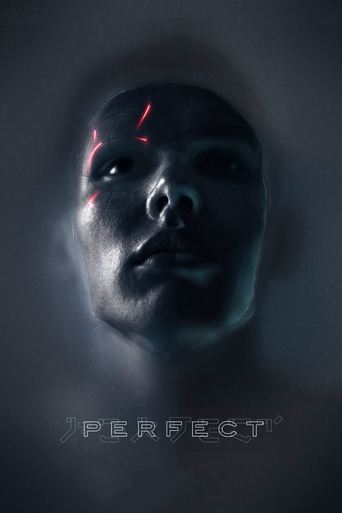 Póster de Perfect