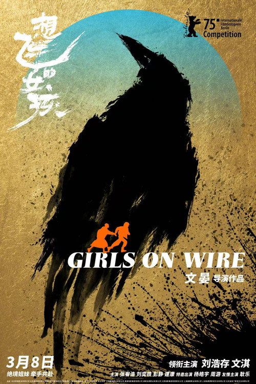 Póster de 想飞的女孩