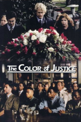 Póster de Color of Justice