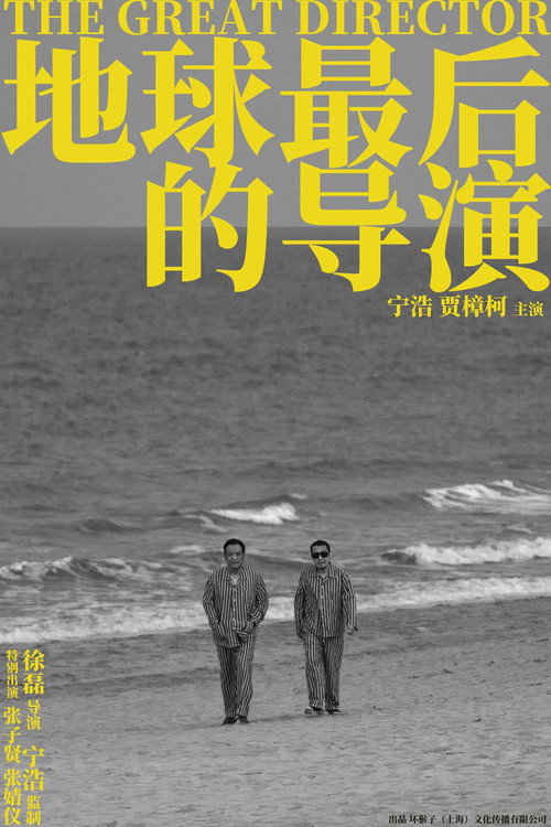 Póster de 地球最后的导演