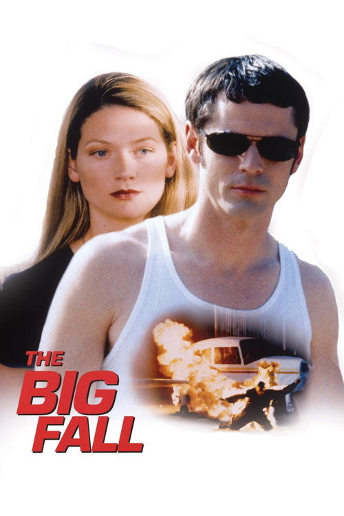 Póster de The Big Fall