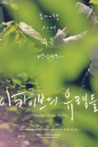 Póster de Phantoms of the Archive