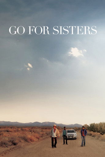 Póster de Go for Sisters