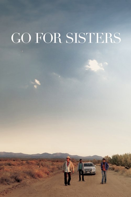 Póster de Go for Sisters