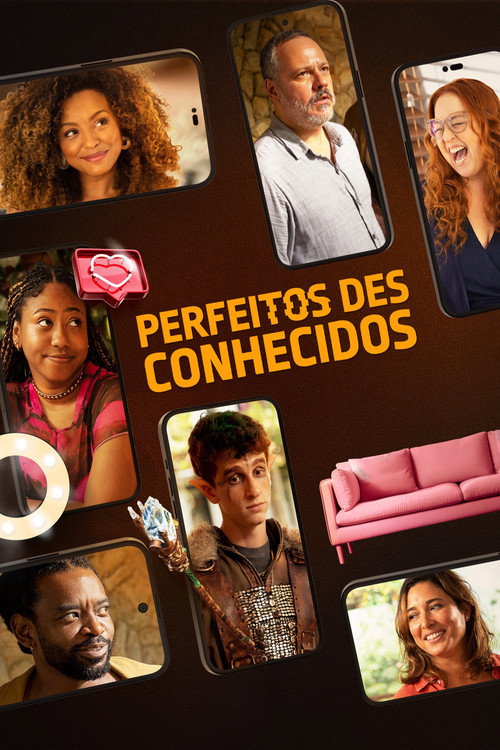 Póster de Perfeitos Desconhecidos