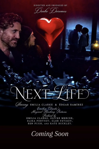 Póster de Next Life